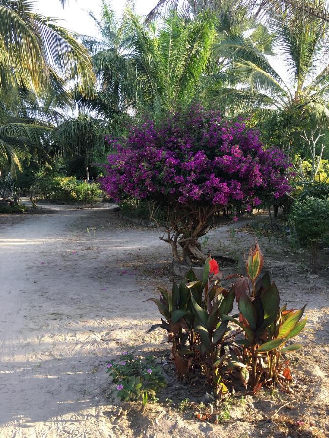 Karamba Lodge Kafountine Bagian luar foto